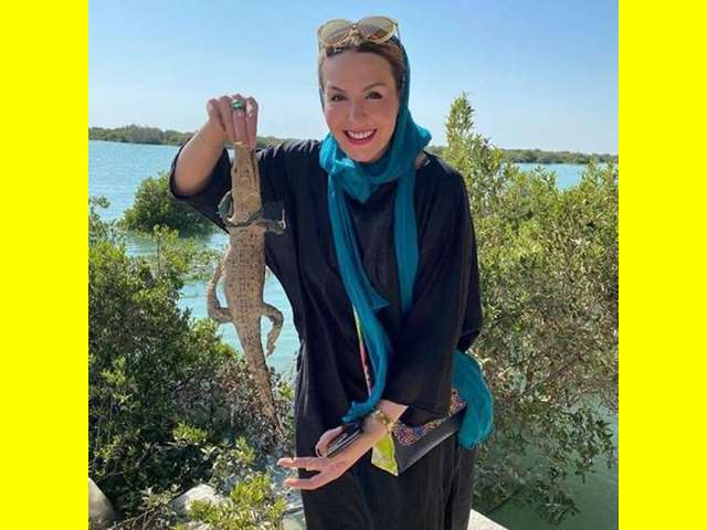 بازیگر نقش شهرزاد در سریال توطئه فامیلی کیست +بیوگرافی و عکس