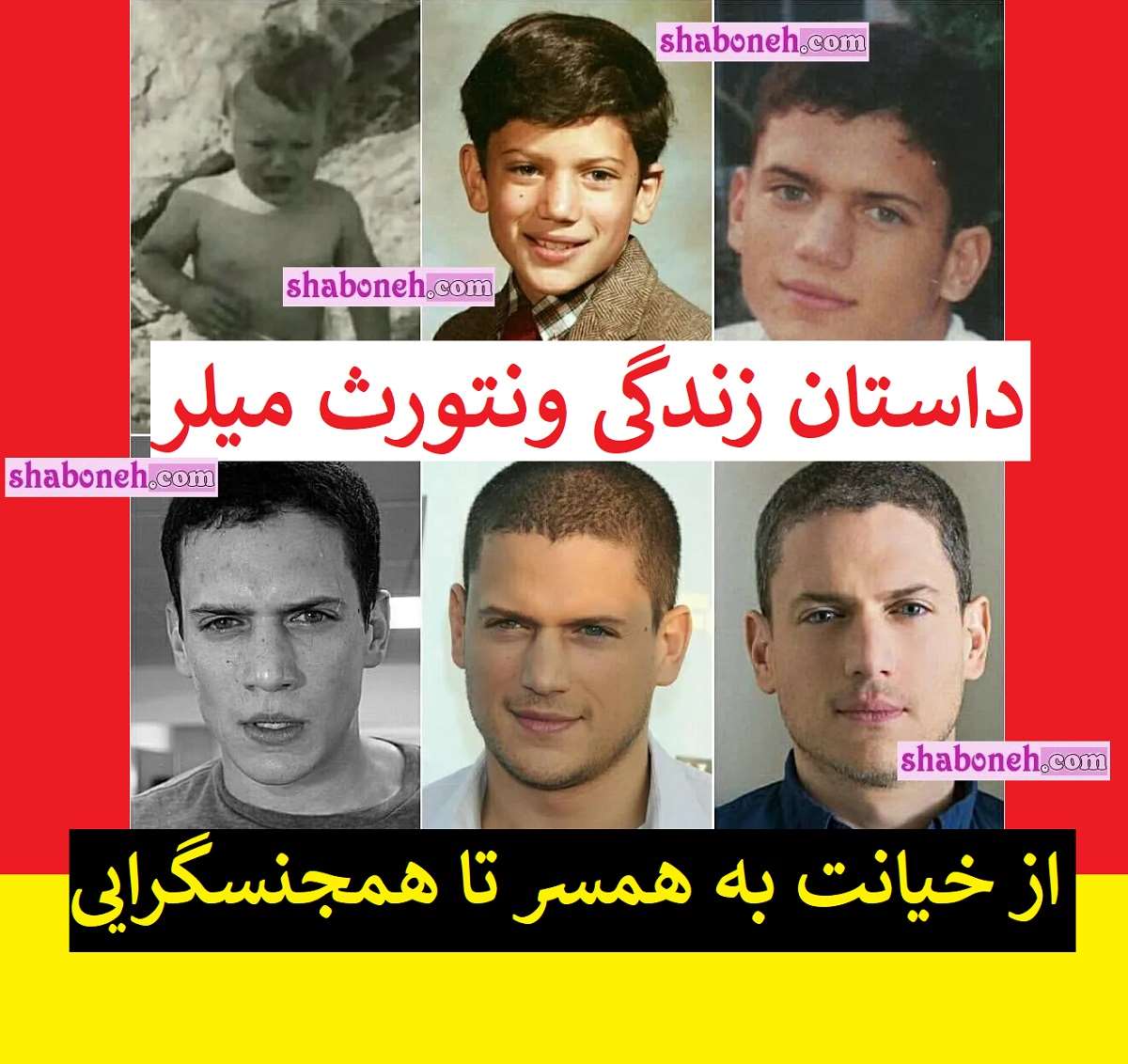 بیوگرافی ونتورث میلر بازیگر از خیانت به همسر تا همجنسگرایی +عکس