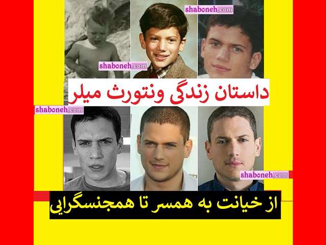 بیوگرافی مایکل اسکافیلد در فرار از زندان کیست از بازیگری تا همجنسگرایی