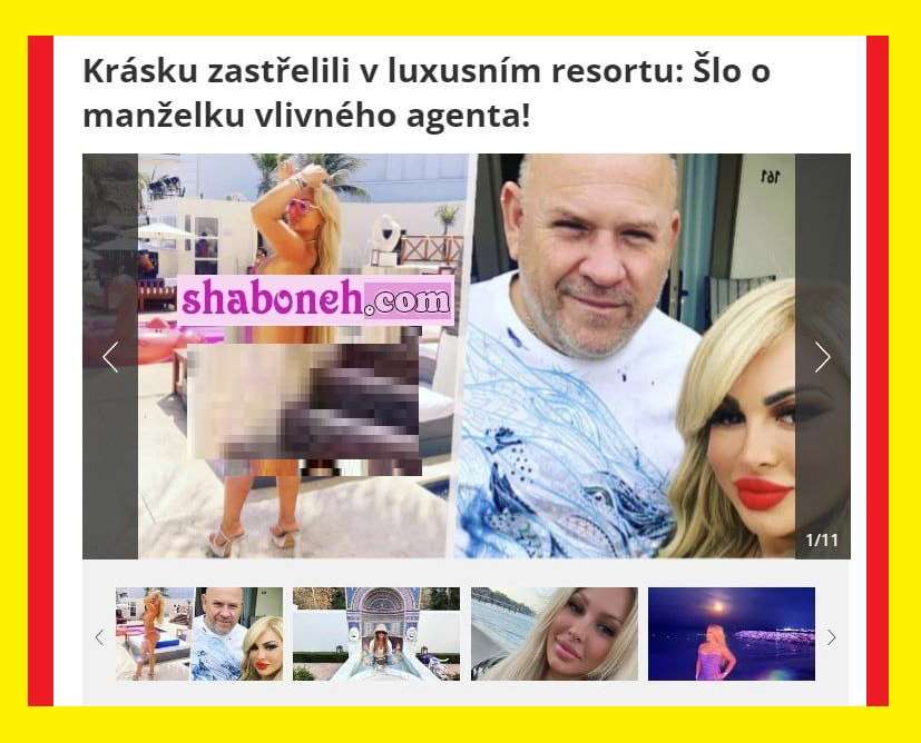 نیکو هنربخش کیست ماجرای قتل در مکزیک