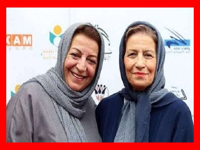 بیوگرافی بازیگران سریال گرگ ها با نقش +سرنوشت و عکس و داستان