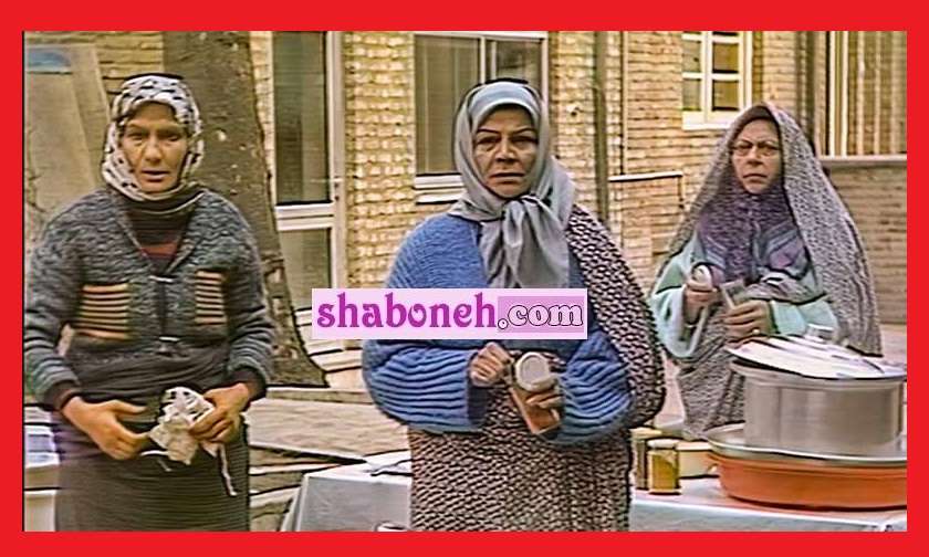 بیوگرافی بازیگران سریال نیمه پنهان ماه با نقش +عکس و داستان