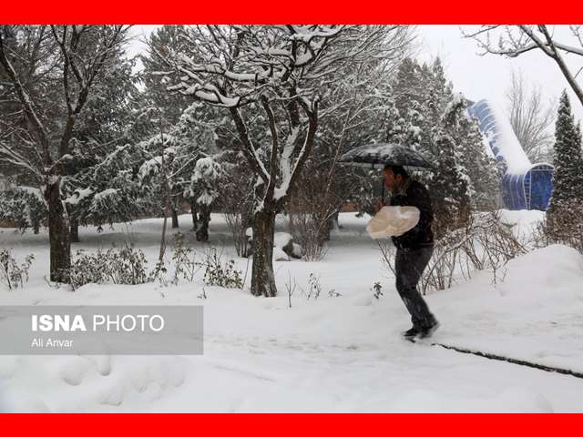 تعطیلی مدارس فردا شنبه ۱۲ اسفند ۱۴۰۲ مشخص شد برف و یخبندان