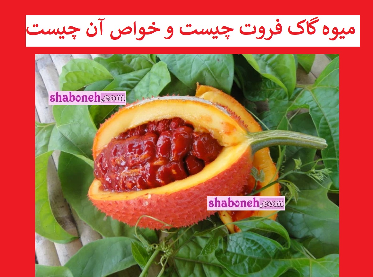میوه گاک فروت چیست و خواص آن چیست + نحوه کاشت در منزل