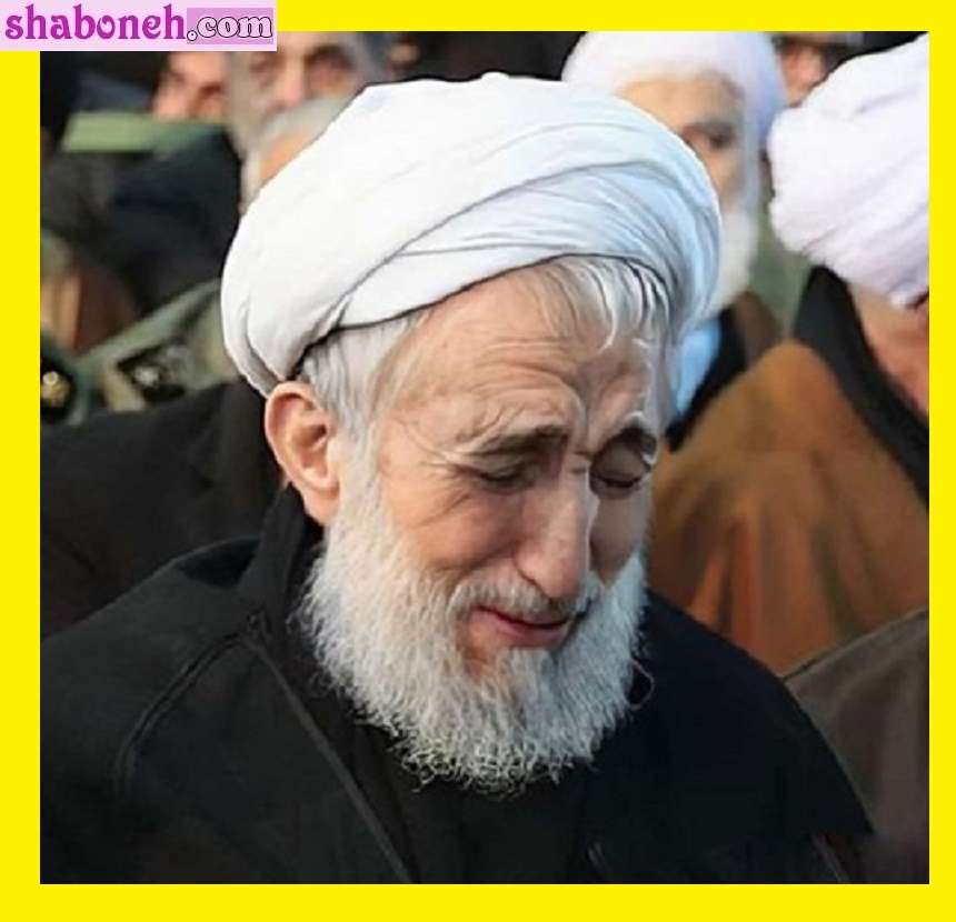 فرزندان آیت الله کاظم صدیقی کیست و کجا هستند +شغل