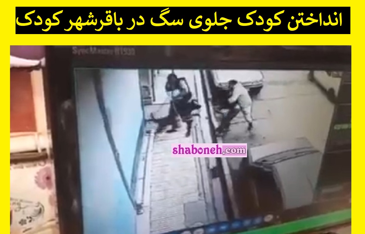 فیلم کامل انداختن کودک جلوی سگ در باقرشهر (18+)