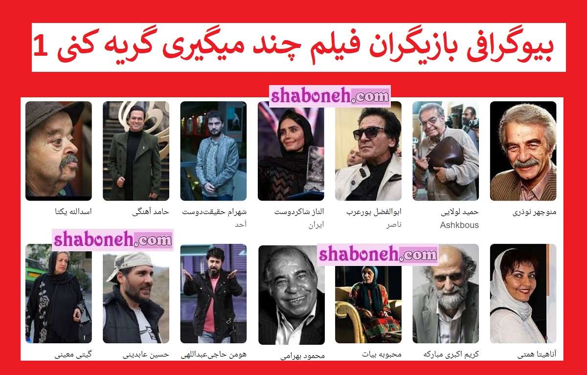 بیوگرافی بازیگران چند میگیری گریه کنی ۱ با نقش + عکس و داستان