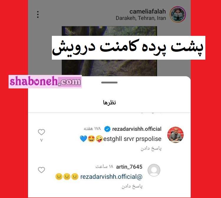 پشت پرده کامنت درویش زیر پست کاملیا فلاح