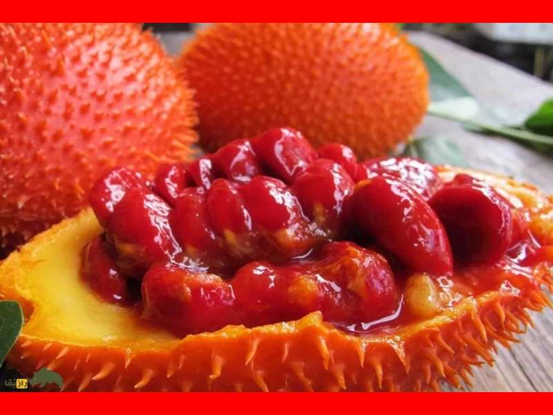 میوه گاک فروت چیست و خواص آن چیست + نحوه کاشت در منزل