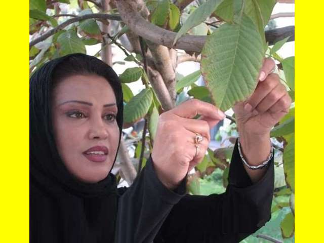 بیوگرافی نسرین خسروانی بازیگر و همسرش و فرزندان + عکس