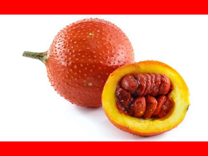 میوه گاک فروت چیست و خواص آن چیست + نحوه کاشت در منزل