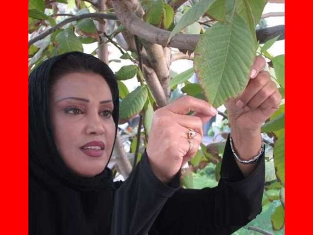 بازیگر نقش گلی در سریال دلنوازان کیست + بیوگرافی و عکس