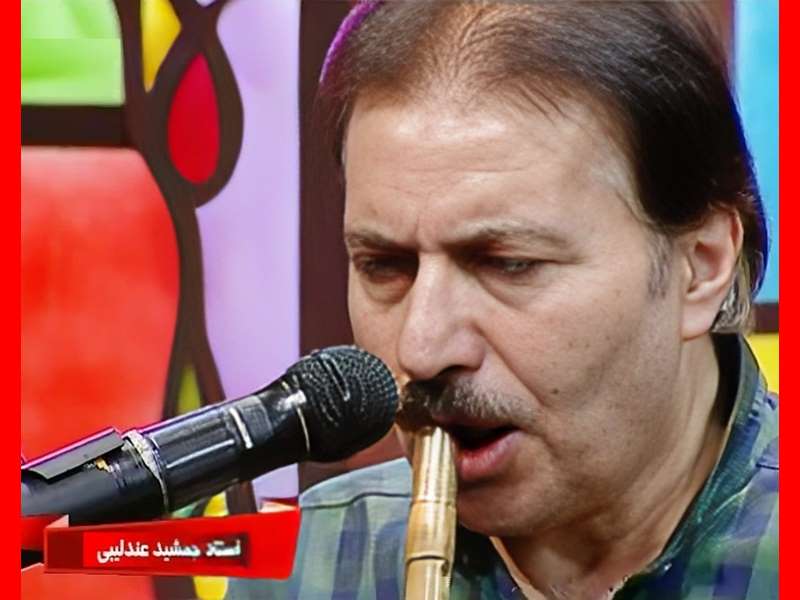 بیوگرافی جمشید عندلیبی نوازنده نی و همسرش و فرزندان +علت فوت 