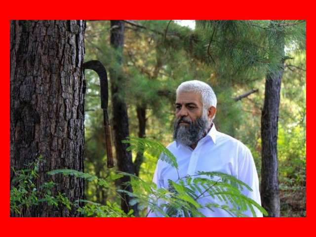 بیوگرافی بازیگران سریال روزهای بهتر با نقش +داستان و عکس