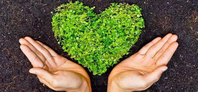 گونی چتایی و کاربردهای آن