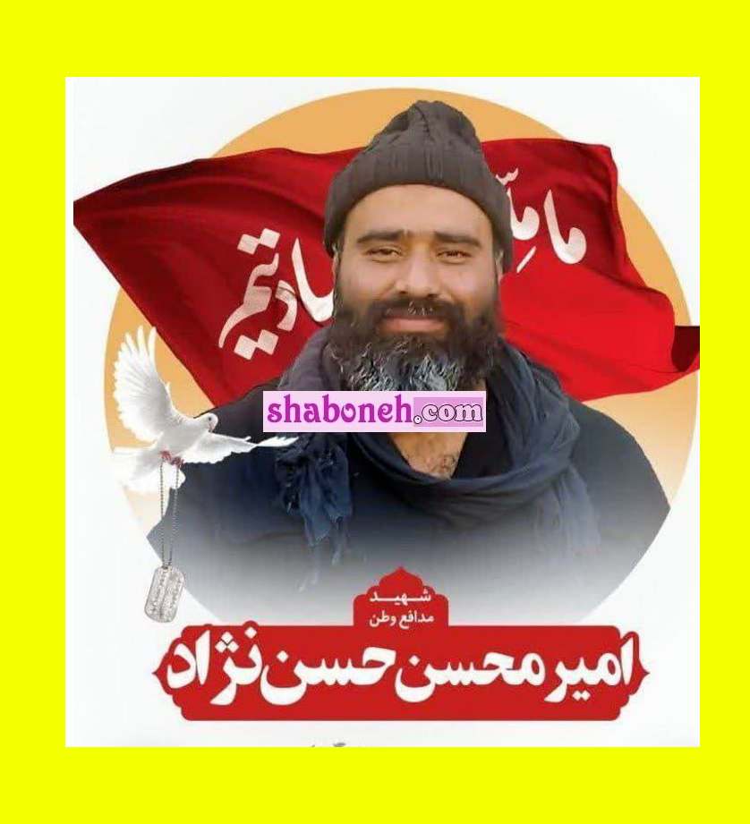 بیوگرافی شهید امیر محسن حسن نژاد +ماجرای شهادت