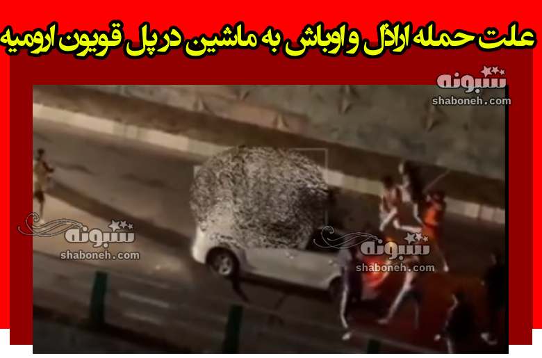 علت حمله اراذل و اوباش به خودرو در پل قویون ارومیه +فیلم کامل