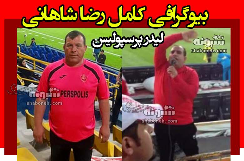 بیوگرافی رضا شاهانی لیدر پرسپولیس کیست +حواشی