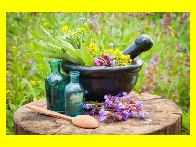 گیاه بوچو چیست خواص و ضررها و گیاه بوچو چیست + نحوه خرید