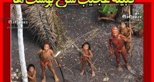 چرا زنان سرخ پوست پس از ازدواج با بدنی برهنه به چادر رئیس قبیله میروند؟ (عکس +18)