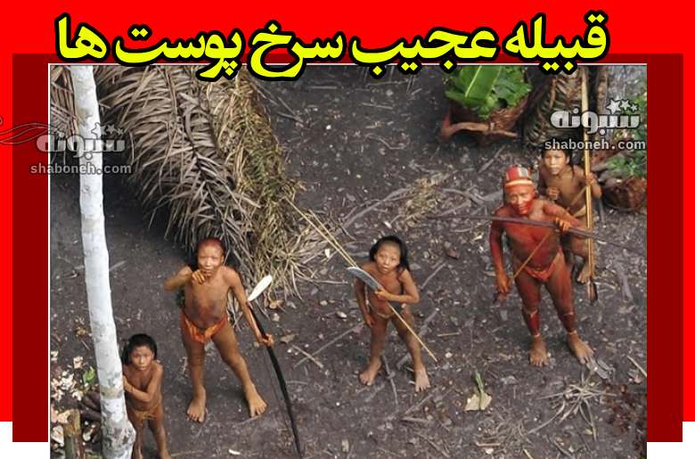 چرا زنان سرخ پوست پس از ازدواج با بدنی برهنه به چادر رئیس قبیله میروند؟ (عکس +18)