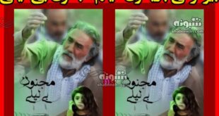 بیوگرافی بازیگران فیلم مجنون بی لیلی با نقش +داستان