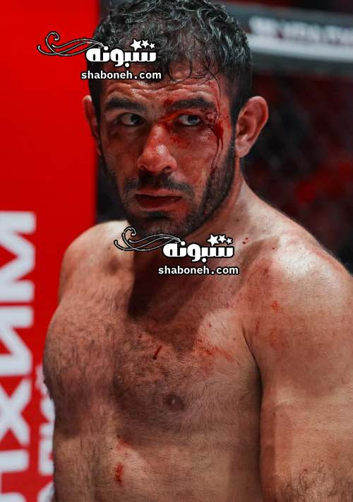 بیوگرافی علی هیبتی (ام ام ای) اهل کجاست و همسر و حواشی