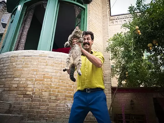 بیوگرافی بازیگران فیلم سینمایی سال گربه +خلاصه داستان و عکس