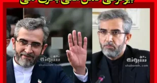 بیوگرافی علی باقری کنی وزارت امور خارجه + سوابق