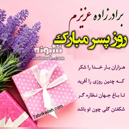 متن و پیام تبریک روز پسر به برادرزاده +کلیپ استوری