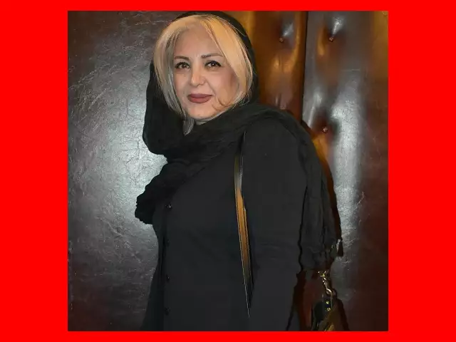 بیوگرافی بازیگران سریال به کجا چنین شتابان با نقش +عکس و داستان