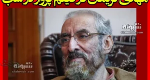 بازیگر نقش مهدی نریمان در فیلم پرواز در شب کیست +بیوگرافی