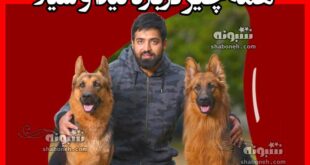 تیدا و شیلا سگ های زنده یاب از نژاد ژرمن حرف گوش کن و باهوش