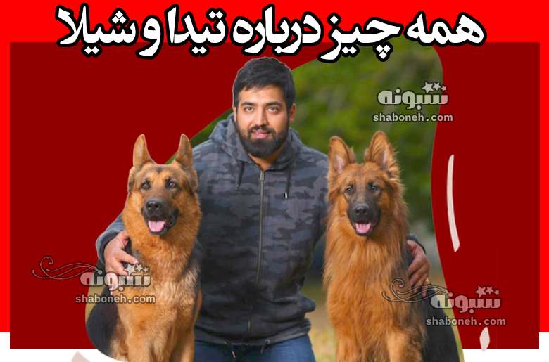 تیدا و شیلا سگ های زنده یاب از نژاد ژرمن (حرف گوش کن و باهوش)