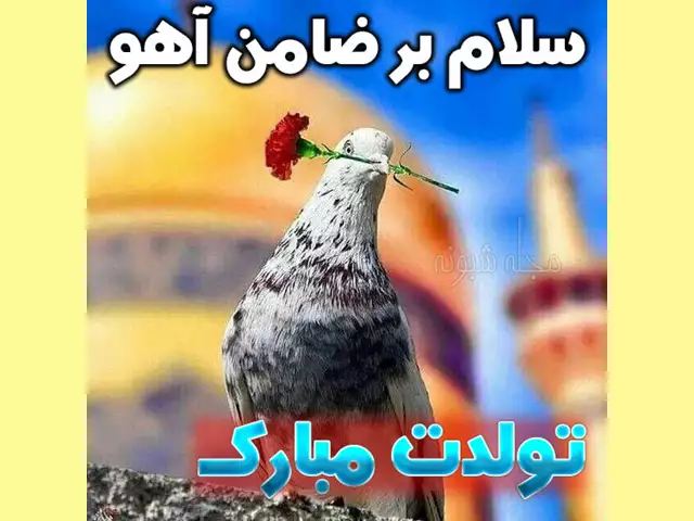پیامک تبریک ولادت امام رضا رسمی +متن زیبا و عکس تبریک 