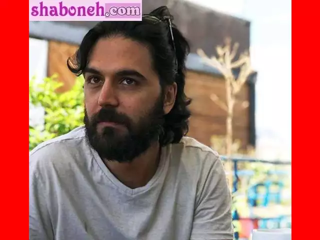 بیوگرافی حامد در سریال لحظه گرگ و میش