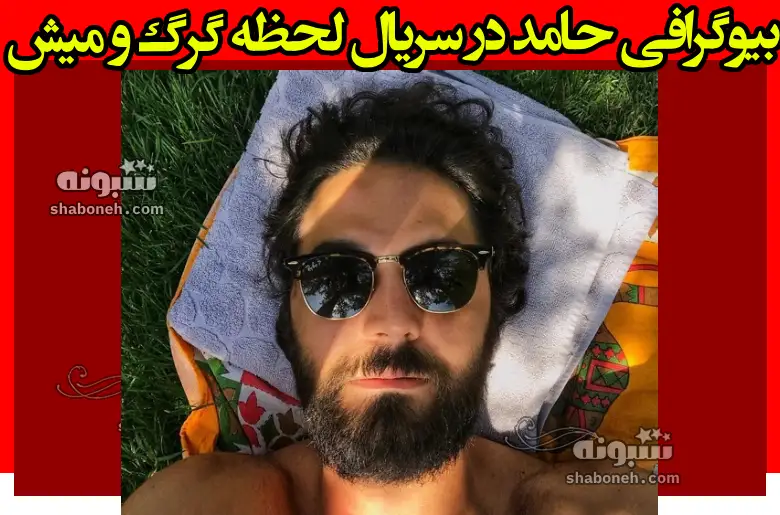 بیوگرافی بازیگر نقش حامد در سریال لحظه گرگ و میش کیست +عکس