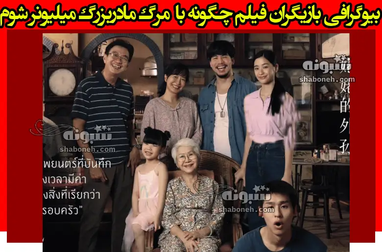 بیوگرافی بازیگران فیلم چگونه با مرگ مادربزرگ میلیونر شوم +داستان و عکس