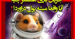 جریان بازی همستر چیه آیا واقعا میشه پول دراورد؟