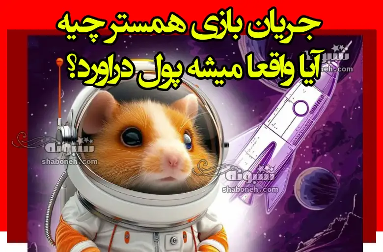 جریان بازی همستر چیه آیا واقعا میشه پول دراورد؟