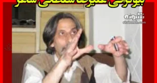 بیوگرافی علیرضا سلطانی شاعر + علت دقیق فوت