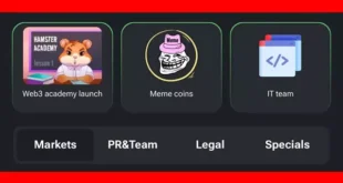 نحوه باز کردن قفل کارت Meme coins و IT team بازی همستر کامبت