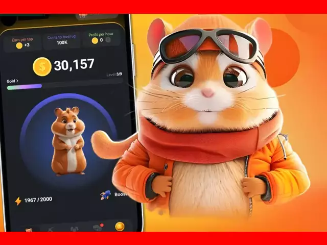 کارت های کمبو همستر کمبت امروز چهارشنبه 16 خرداد 1403