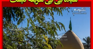سیده بی بی شریفه کیست زندگینامه و ماجرای شهادت
