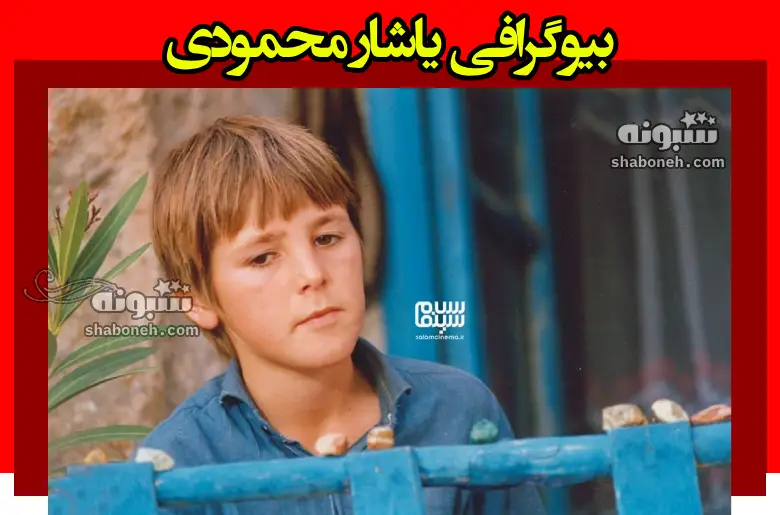 بیوگرافی یاشار محمودی بازیگر نقش ایبیش در فیلم تولد یک پروانه