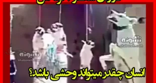 فیلم دار زدن سگ و 7 توله اش انسان چقدر میتواند وحشی باشد؟