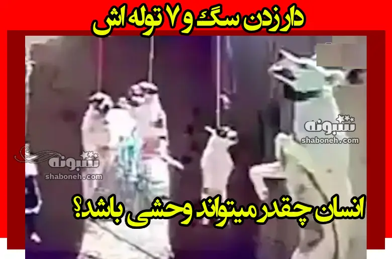 فیلم دار زدن سگ و 7 توله اش انسان چقدر میتواند وحشی باشد؟