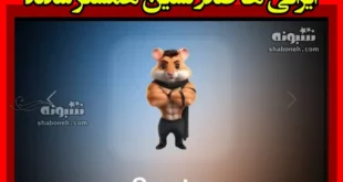 مهیار و شهرام نفر اول همستر کامبت / ایرانی ها صدر نشین شدند