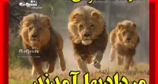 آغاز پادشاهی مردادی ها و شروع سلطنت مرداد ماهی ها (عکس استوری و پروفایل)