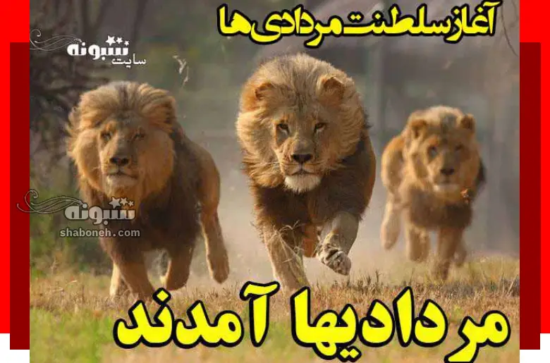 آغاز پادشاهی مردادی ها و شروع سلطنت مرداد ماهی ها (عکس استوری و پروفایل)